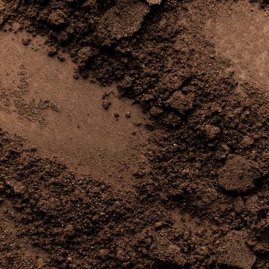 Besties 👩‍❤️‍👩 Package